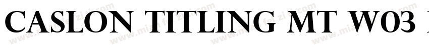Caslon Titling MT W03 Regular字体转换